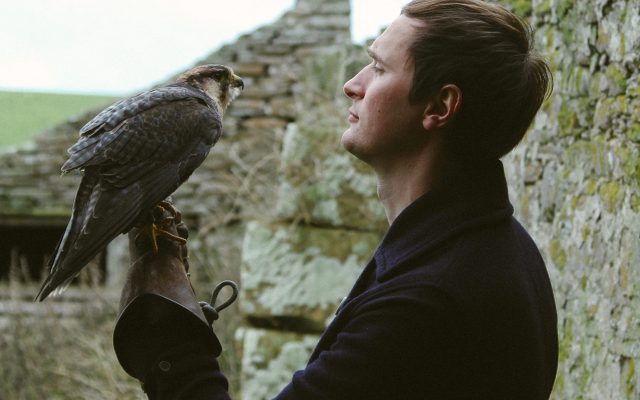 A young man (Erland Cooper) in profile in front of an old stone wall, makes eye contact with a bird of prey, which he holds on a leather gauntlet
