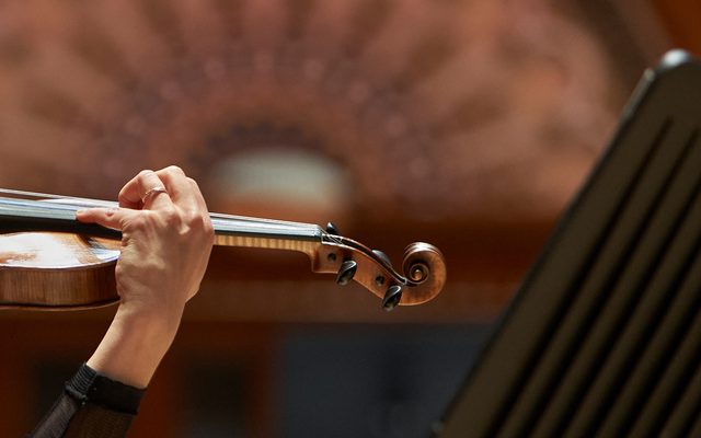 A woman's hands playing a violin in front of an ornate organ fascia