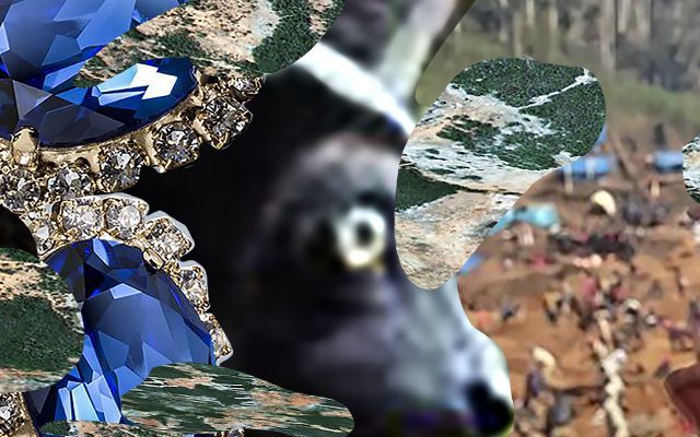 A digital collage of cut and mounted sapphires and a raw sapphire held between thumb and finger, with an out of focus lemur's head and amorphous portions of landscape
